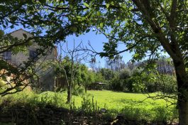 Properties For Sale In Rural And Central Portugal Portugalissimo